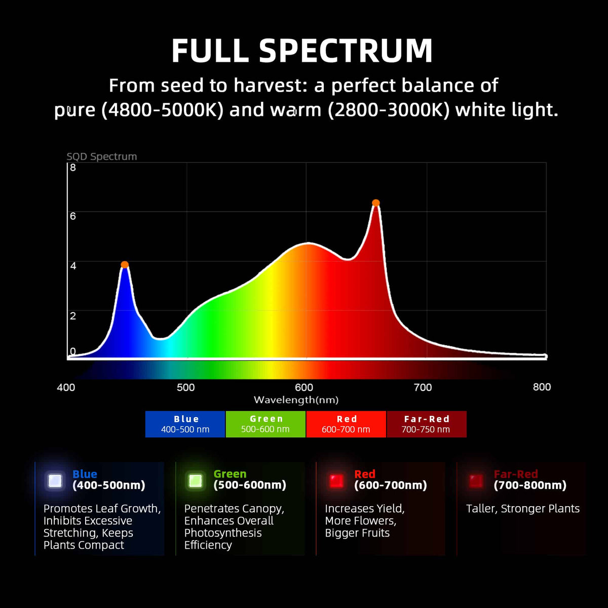 Spidefarmer LED grow light spectrum diagram with color bands and text on a black background