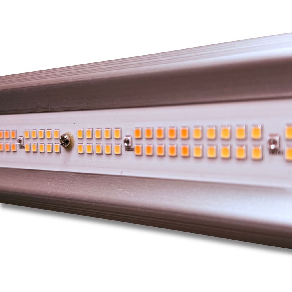 Elite 720W LED Grow Light Built in Driver