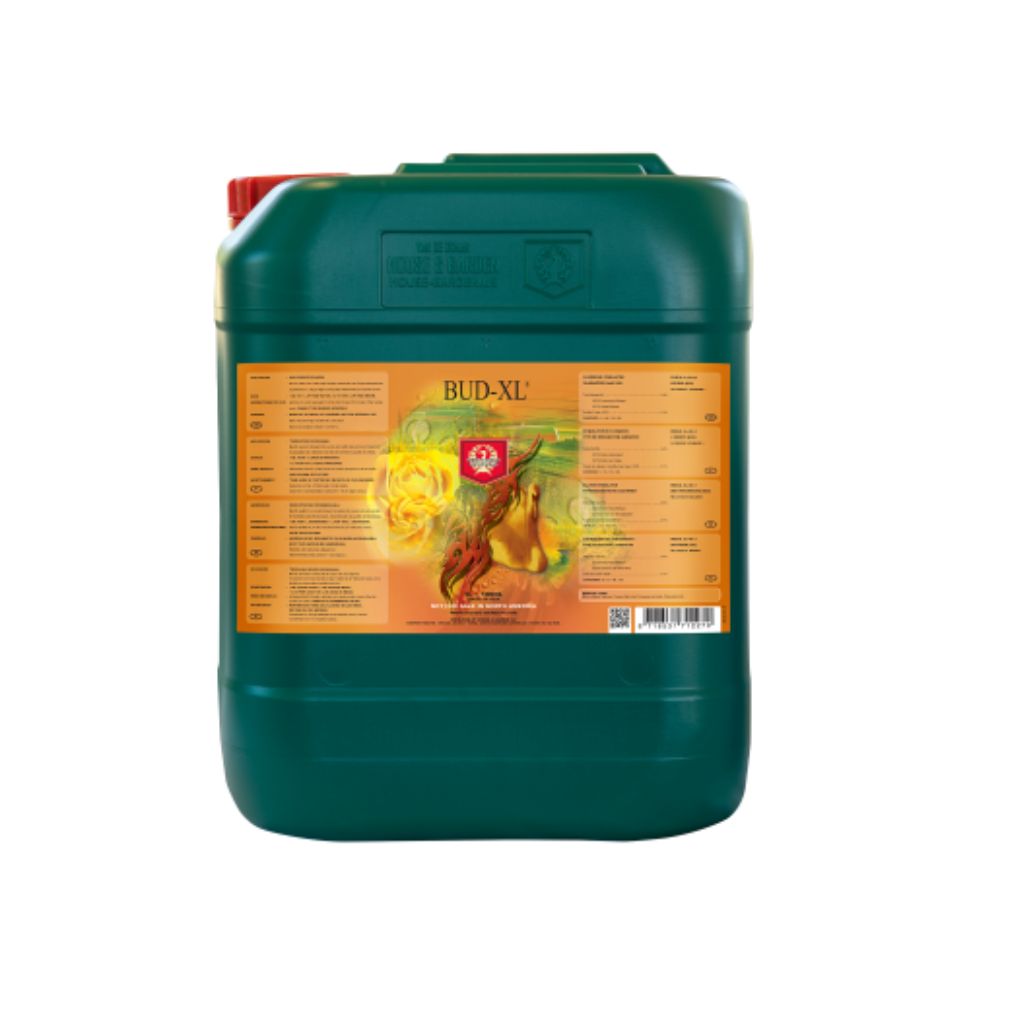 Haus & Garten Bud XL