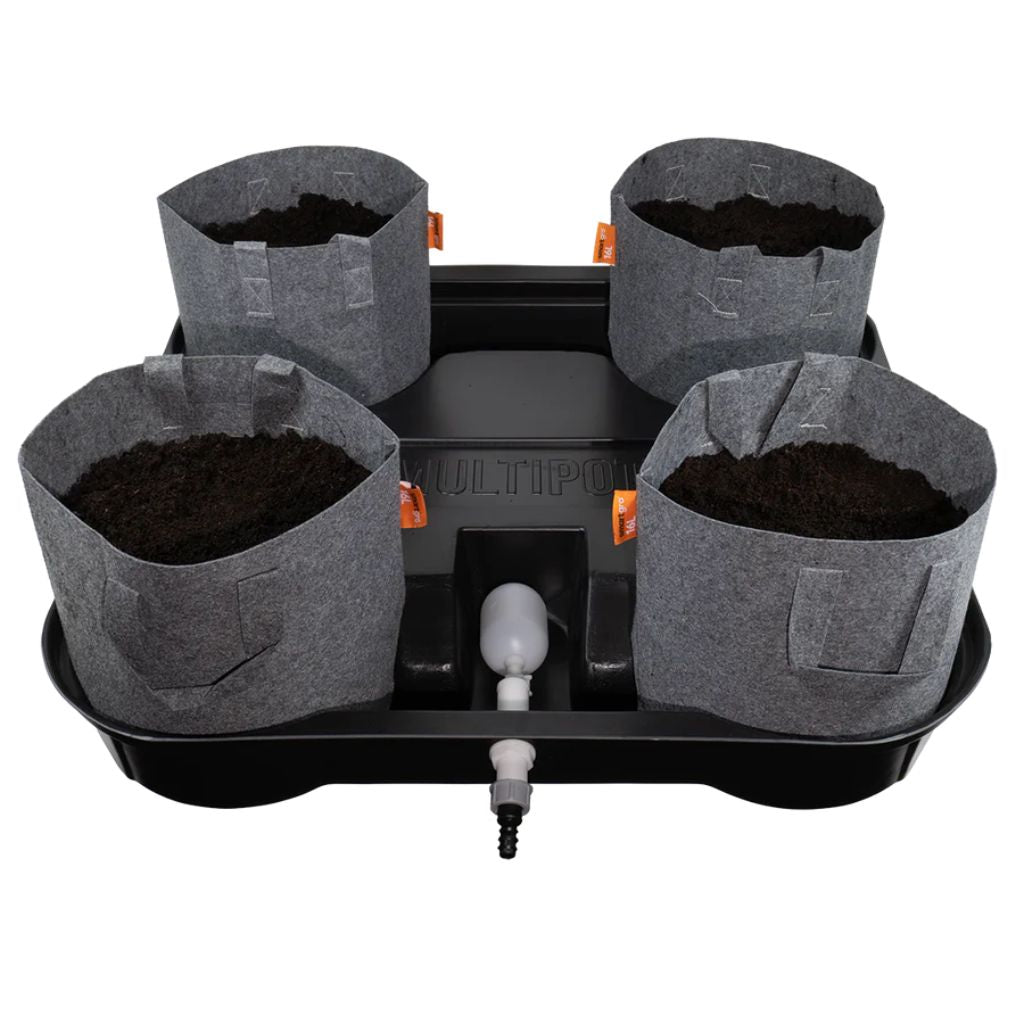 MegaPot MultiPot- 4 Pot System