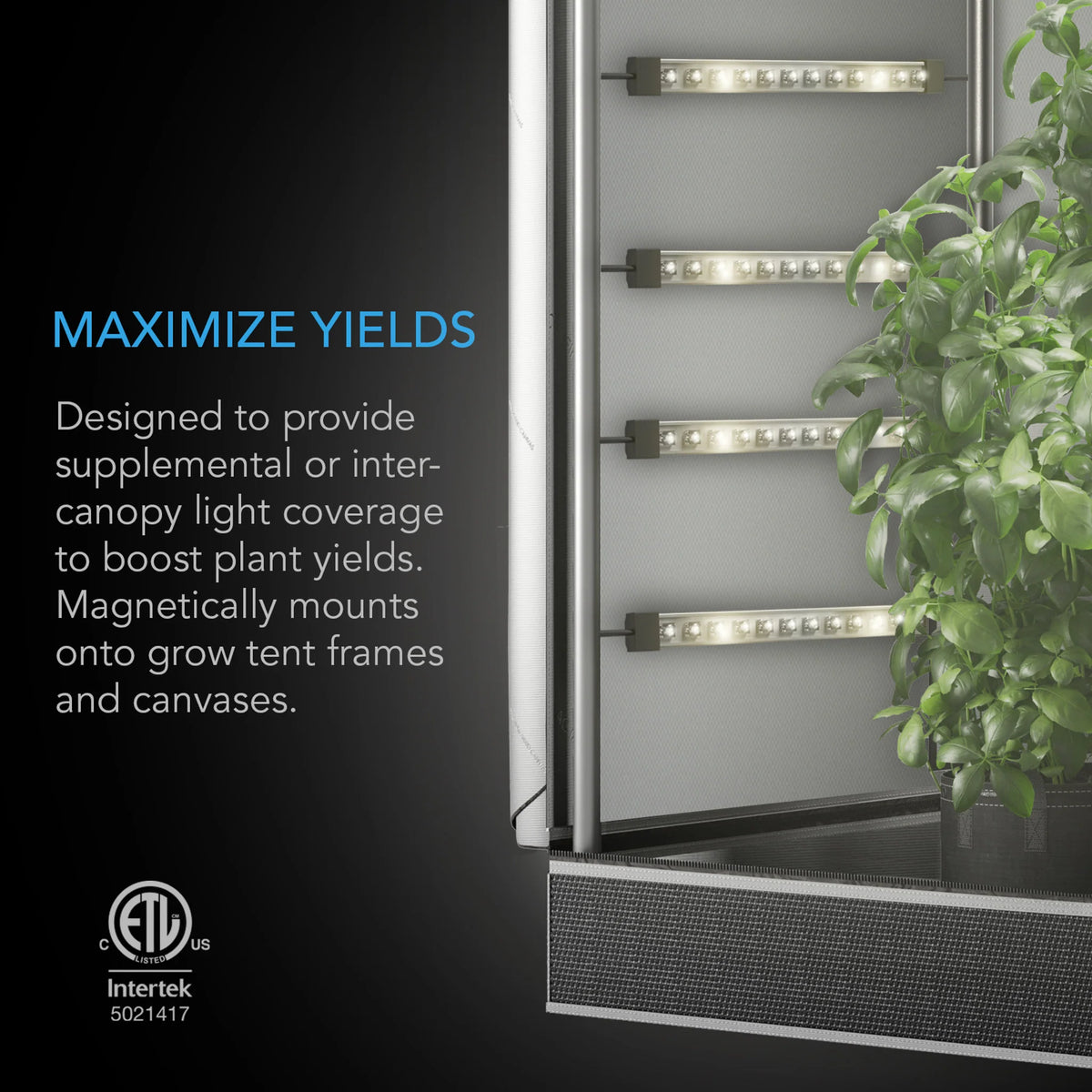 AC Infinity Ionbeam S11 LED Grow Light