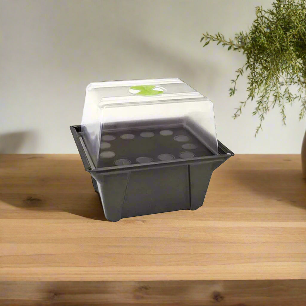X-Stream Aeroponischer Propagator 12 Standort