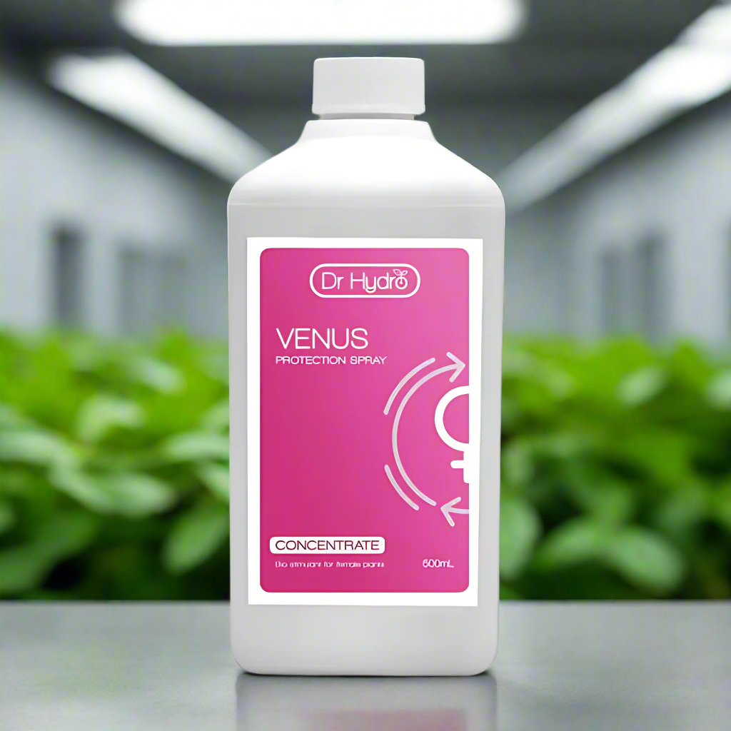 Dr Hydro - Venus
