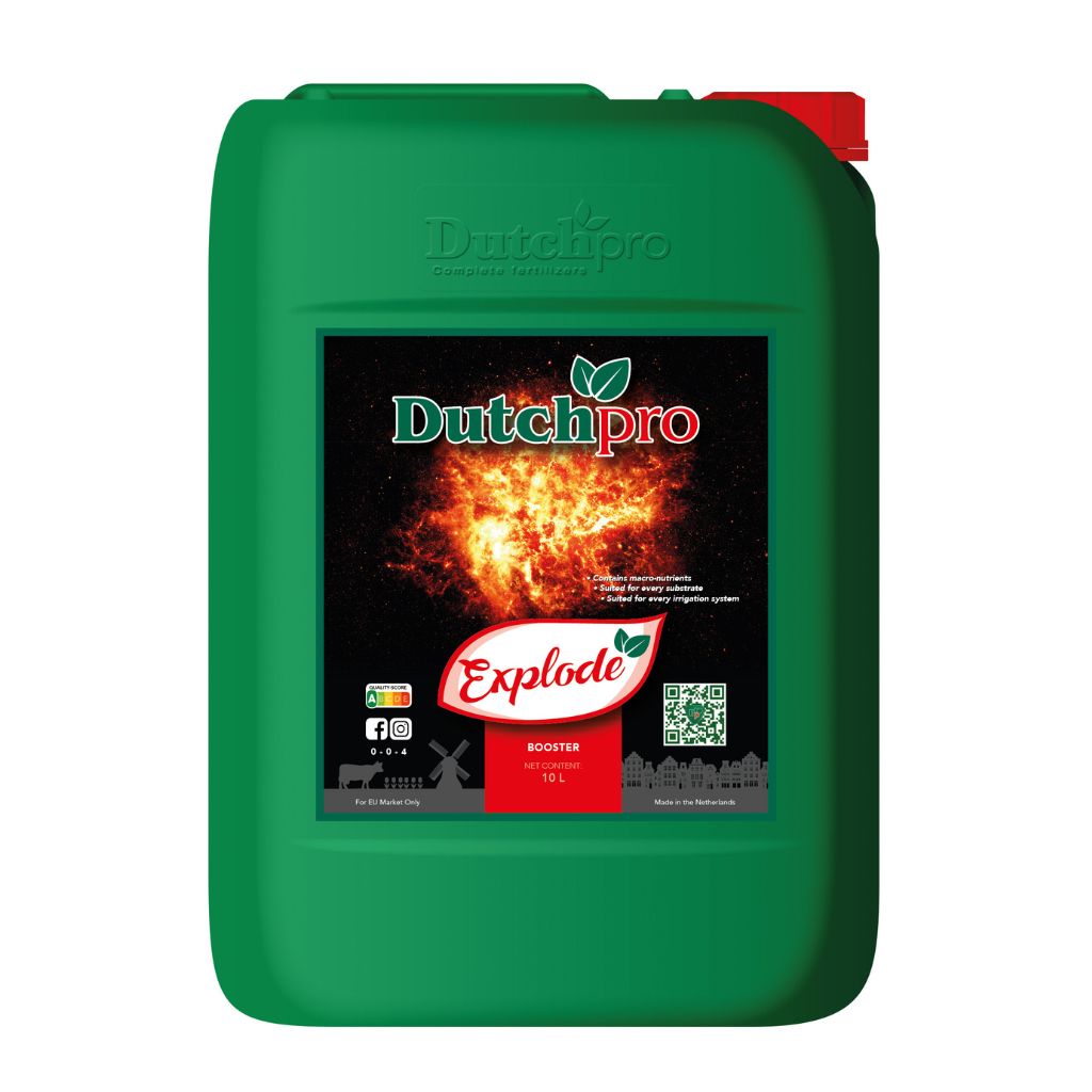 Dutchpro Explode