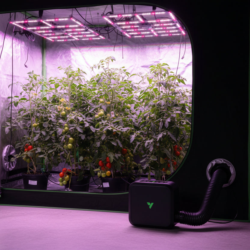 VIVOSUN AeroFlux Intelligenter Pflanzenzelt-Heizer