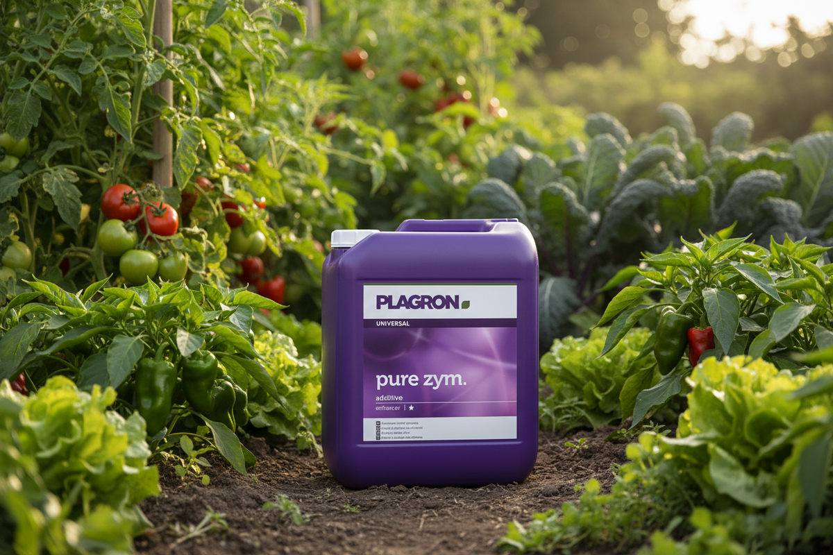 Plagron Pure Zym