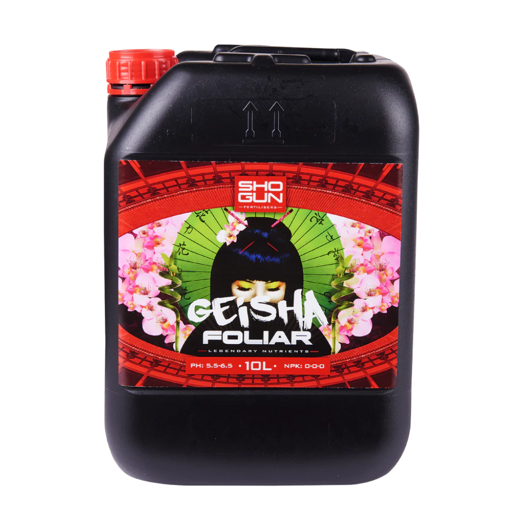 Shogun Geisha Blatt
