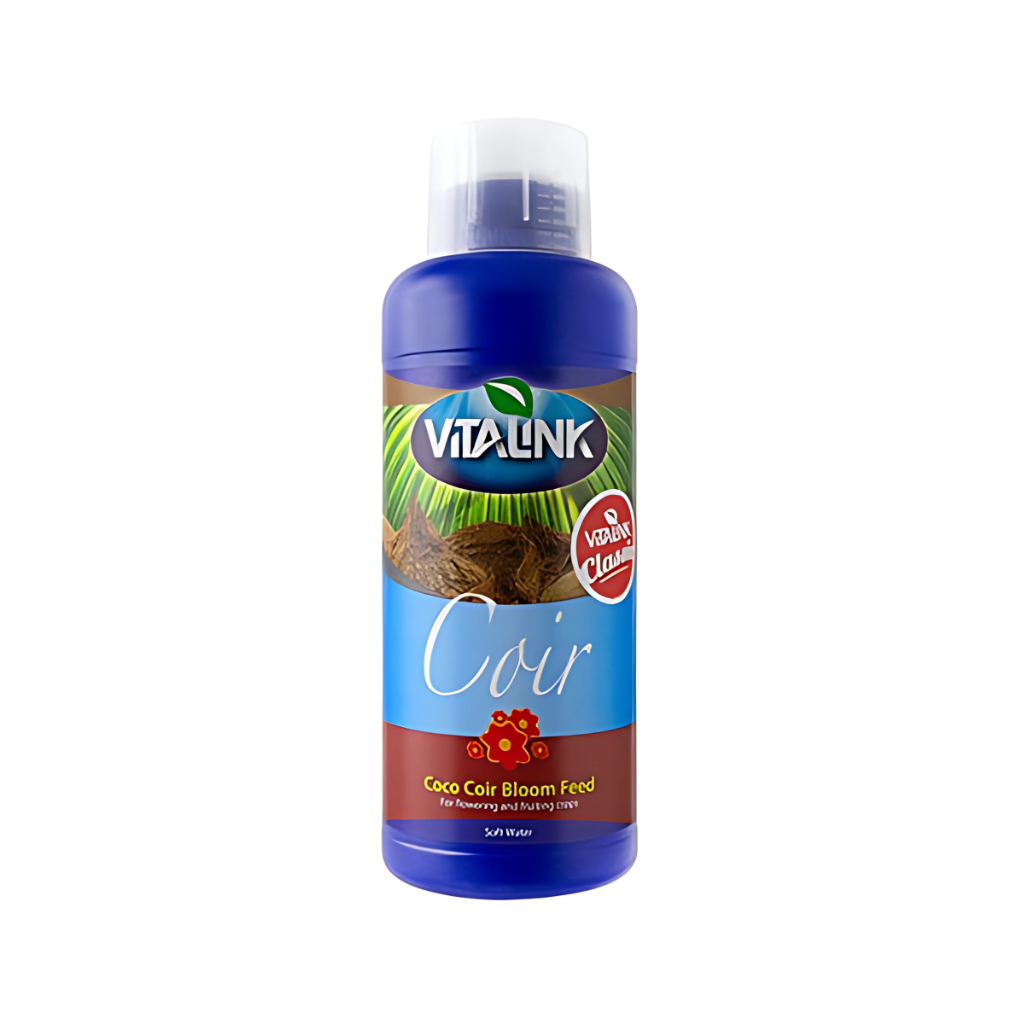 VitaLink Kokosblüte