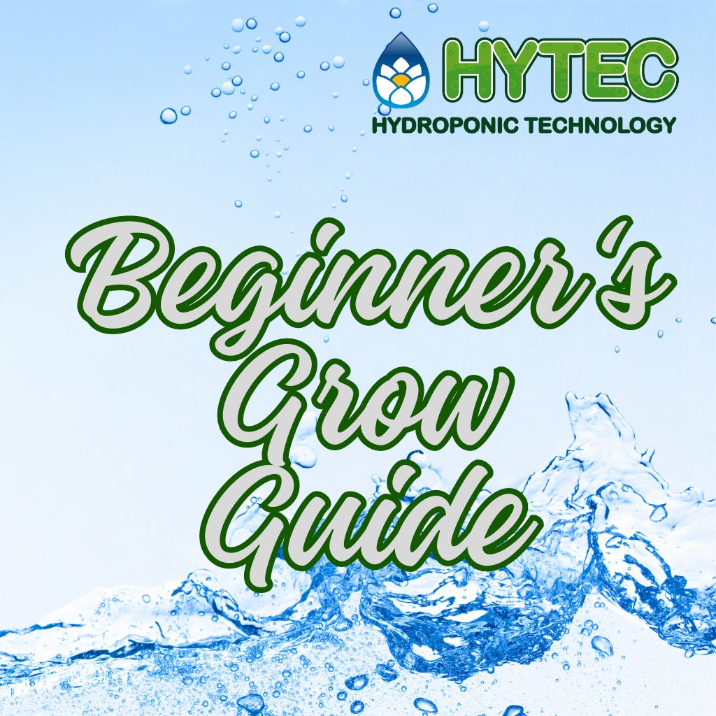 Beginners Grow Guide