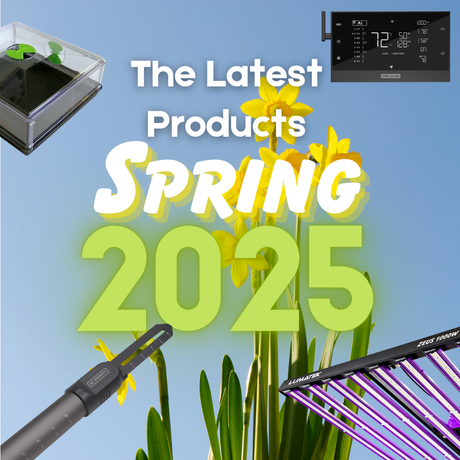 Latest Products for Spring 2025