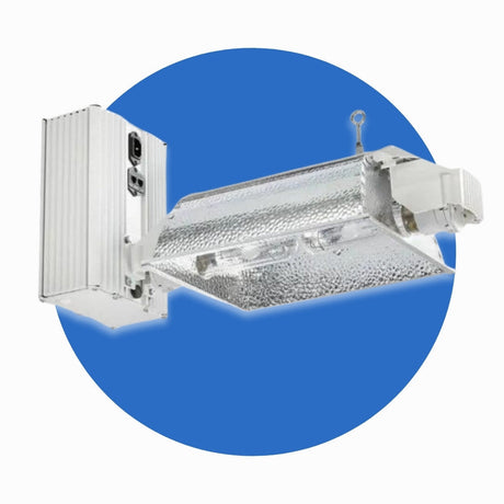 600w CMH Lighting
