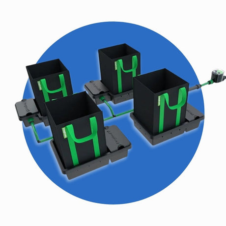Alien Easy feed Systems