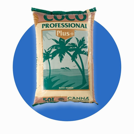 Coco Coir