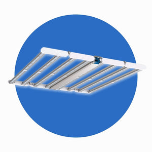 Dutch Lighting Innovations