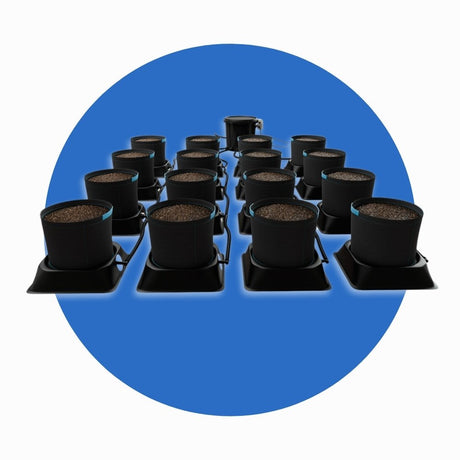 IWS Autodrain Systems