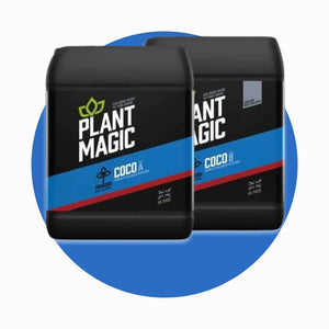 Plant Magic