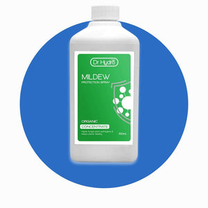 Mildew
