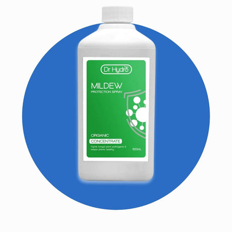 Mildew