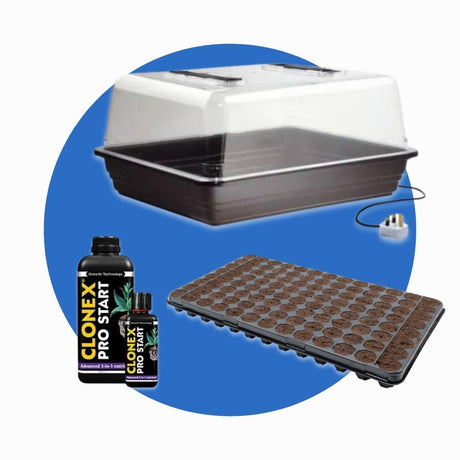 Propagation Essentials