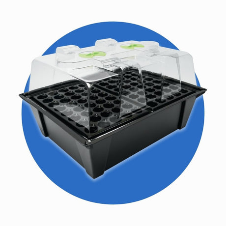Propagators