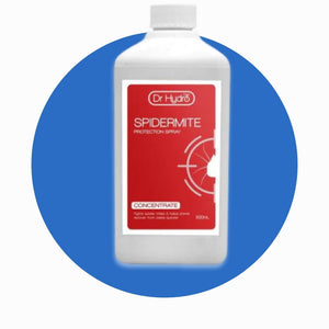 Spider Mite
