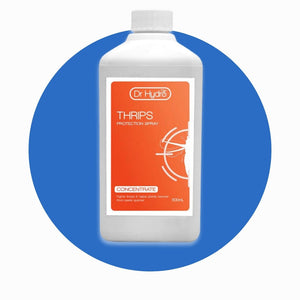 Thrips