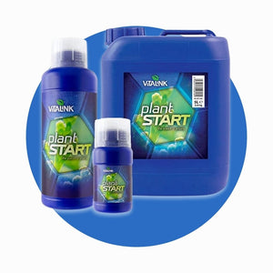 Vitalink