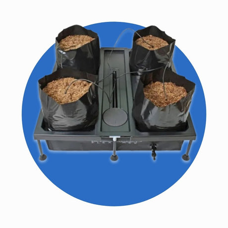 BloomRoom Systems