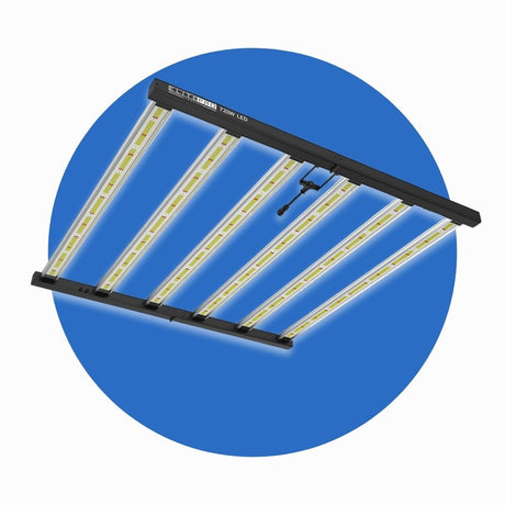 Elite LED Grow Lights