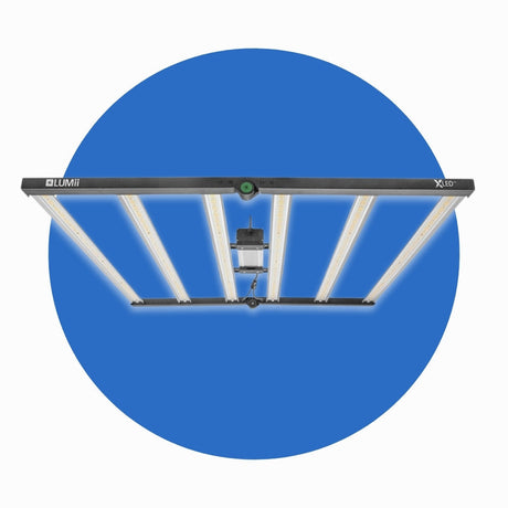 LUMii LED Grow Lights