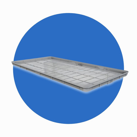 Wachsen XTrays