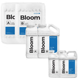 athena bloom blended