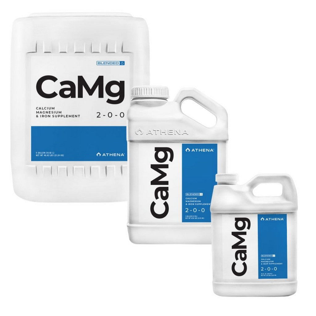 athena camg blended