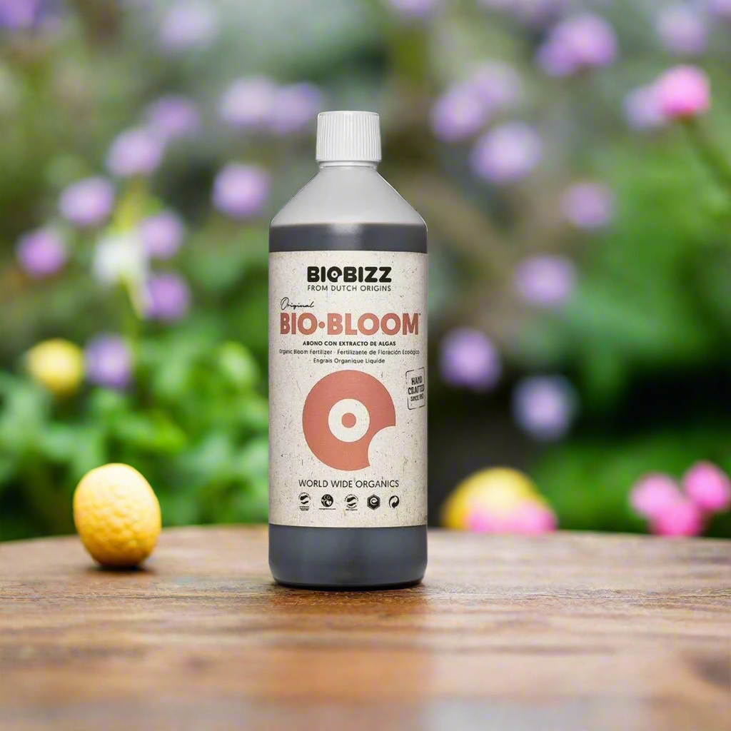 Biobizz Bio-Blüte