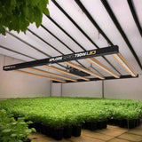 Dimlux Xplore Series 730W LED Grow Light