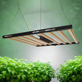 Dimlux Xplore Series 800W HE LED Grow Light