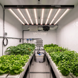 Elite Split 500/1000w LED Grow Light | Flexible Configuration
