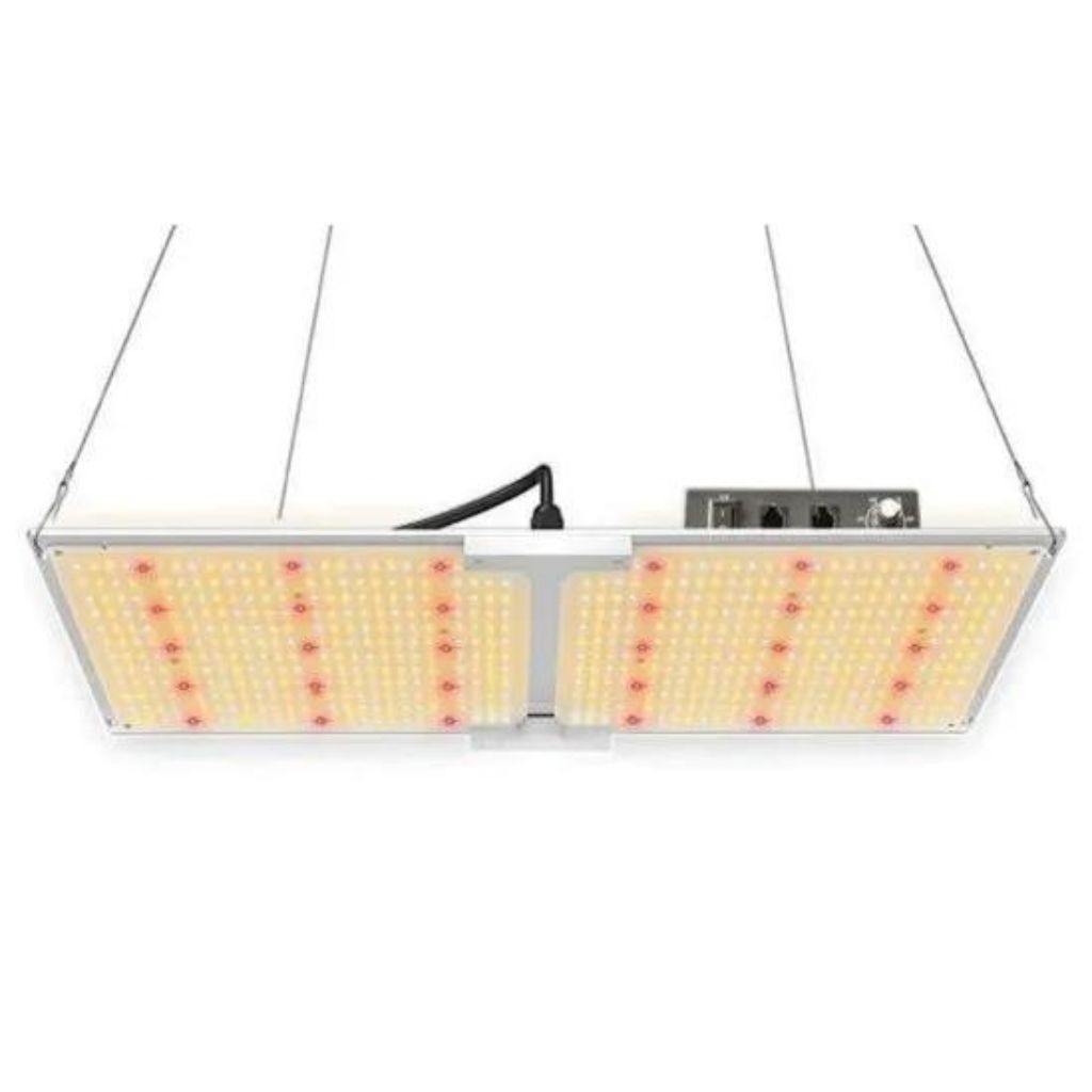 Elite Quantum LED-Panel 240 W – 1 m² Growzelt-Set