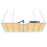 Elite Quantum LED-Panel 240 W – 1 m² Growzelt-Set
