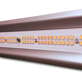 Elite 720W LED Grow Light Integrierter Treiber 2.9