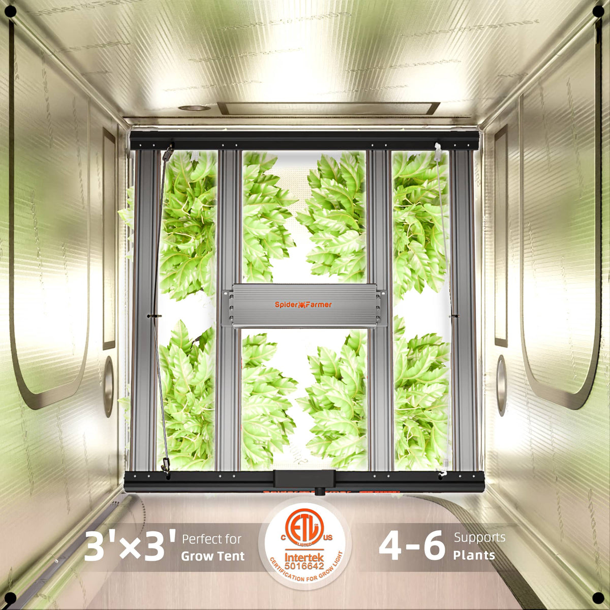Indoor gardening system with plants growing inside a grow tent, featuring Intertek certification.