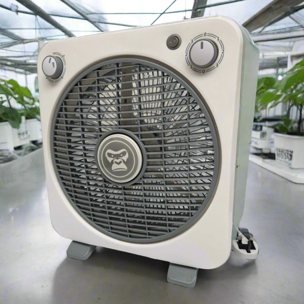 Gorilla Circulating Floor Box Fan 3 Speeds - 30cm