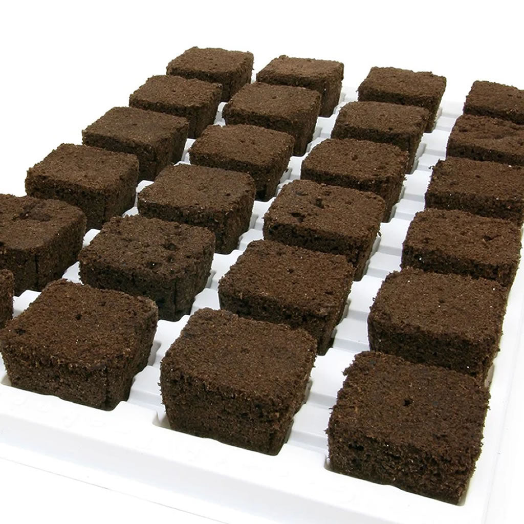 Root Riot Cubes
