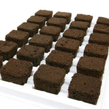 Root Riot Cubes