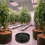 IWS XL Pot Stand