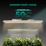 Mars Hydro TSL-2000 300w LED Grow Light