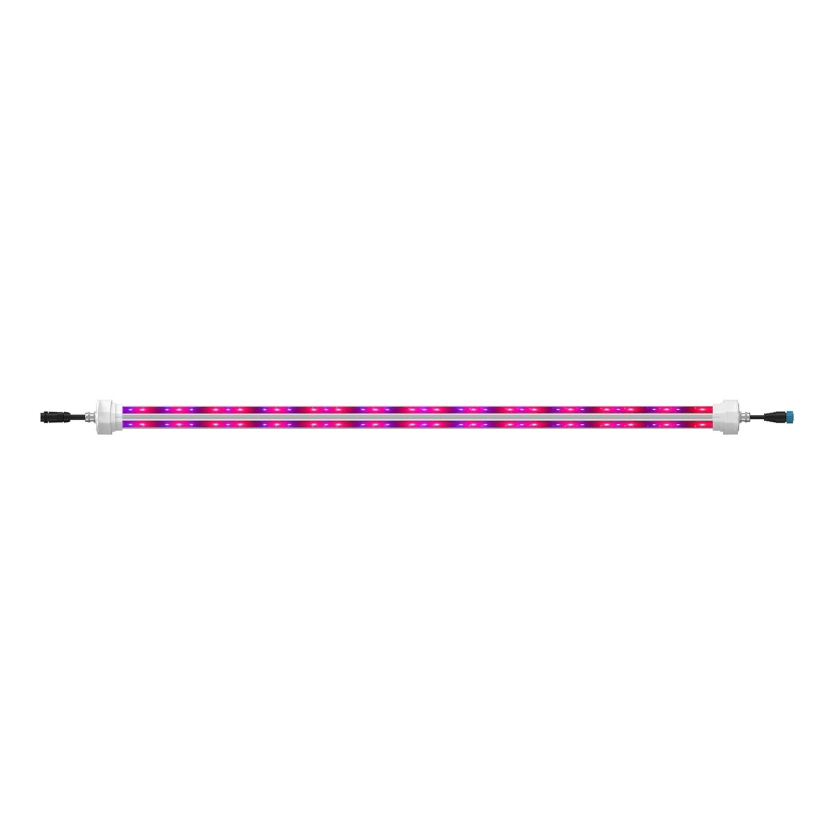 MaxiLED Under-Canopy LED Grow Light 2 x 120W