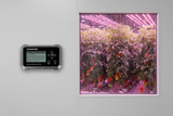 Maxibright Universal lighting controller Control panel next to a window showing indoor plants with pink lighting