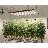 Maxibright Varidrive 500/1000w LED Grow Light | Splittable Run As Two 500w 4 Bar Units