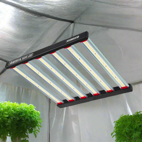Maxibright Varidrive 360W LED Grow Light